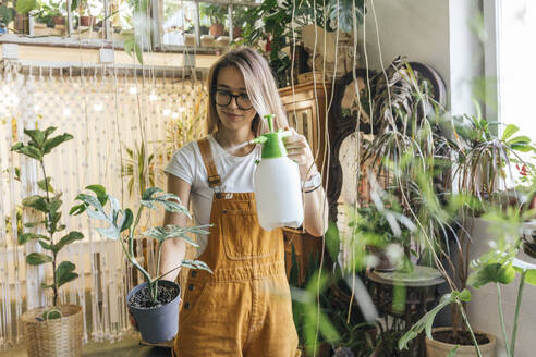 Young woman caring for plants in a small shop - VPIF01830
