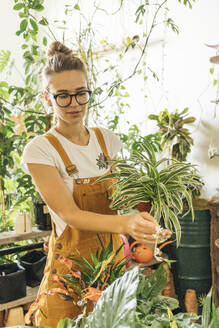 Young woman caring for plants in a small shop - VPIF01839