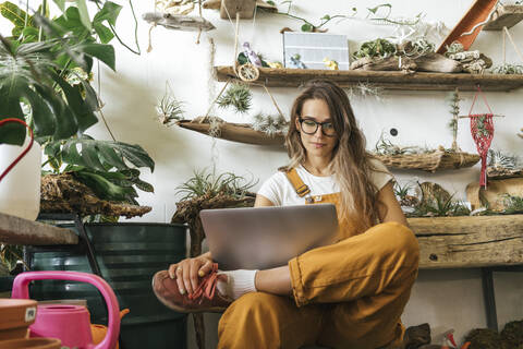 Young woman using laptop in a small gardening shop stock photo