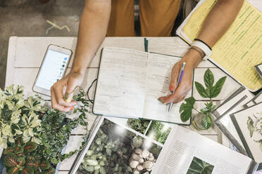 Top view of woman taking notes in a small gardening shop - VPIF01863