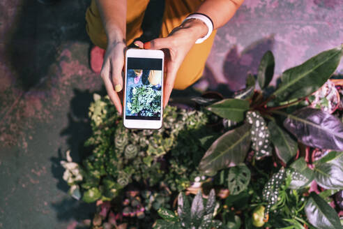 Nahaufnahme einer Frau, die mit ihrem Smartphone ein Foto von Pflanzen macht - VPIF01867