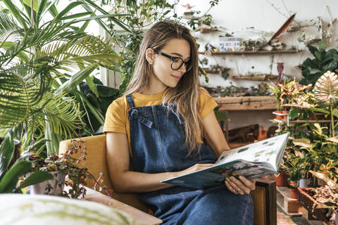 Porträt einer jungen Frau, die in einem Sessel sitzt und ein Buch in einer kleinen Gärtnerei liest, lizenzfreies Stockfoto
