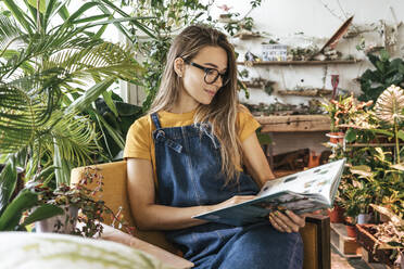 Porträt einer jungen Frau, die in einem Sessel sitzt und ein Buch in einer kleinen Gärtnerei liest - VPIF01878