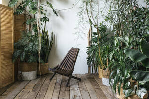 Wooden chair and plants in winter garden - VPIF01896