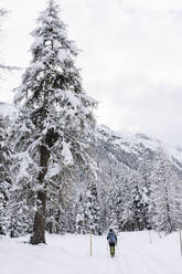 Wanderer in einem verschneiten Wald, Engadin, Schweiz - MRAF00460