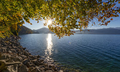 Germany, Bavaria, Shore of Lake Walchen at sunset - LHF00761