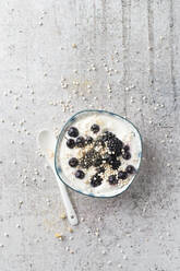 Bowl of yogurt with chokeberries, blackberries, quinoa and chamomile - MYF02203