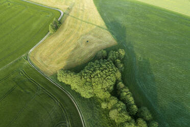 Germany, Thuringia, Aerial view of dirt road cutting through green countryside field - RUEF02387