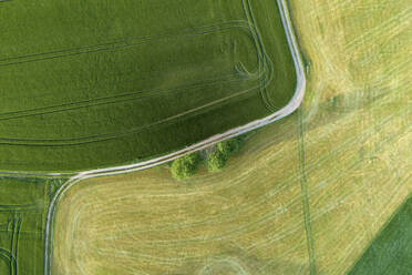 Deutschland, Thüringen, Luftaufnahme einer unbefestigten Straße, die durch ein grünes Feld führt - RUEF02388