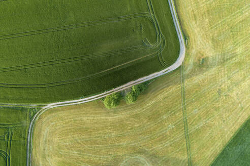 Deutschland, Thüringen, Luftaufnahme einer unbefestigten Straße, die durch ein grünes Feld führt - RUEF02388