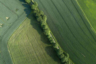 Germany, Thuringia, Aerial view of treelined road stretching between vast countryside fields - RUEF02394
