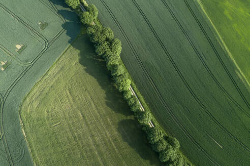 Deutschland, Thüringen, Luftaufnahme einer mit Bäumen gesäumten Straße, die sich zwischen weiten Feldern erstreckt - RUEF02394