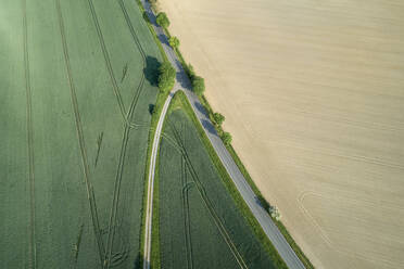 Germany, Thuringia, Aerial view of country road dividing green and yellow countryside fields - RUEF02395