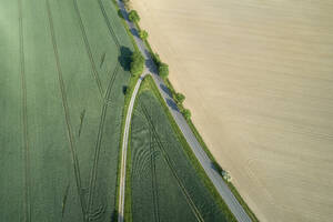 Deutschland, Thüringen, Luftaufnahme einer Landstraße, die grüne und gelbe Felder trennt - RUEF02395