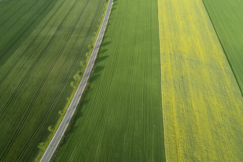 Germany, Bavaria, Aerial view of treelined road stretching between vast countryside fields stock photo