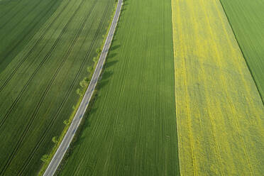 Germany, Bavaria, Aerial view of treelined road stretching between vast countryside fields - RUEF02396