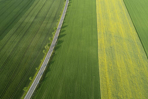 Deutschland, Bayern, Luftaufnahme einer mit Bäumen gesäumten Straße, die sich zwischen weiten Feldern erstreckt - RUEF02396