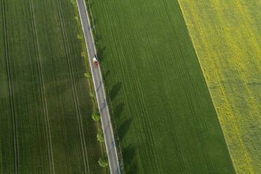 Deutschland, Bayern, Luftaufnahme einer mit Bäumen gesäumten Straße, die sich zwischen weiten Feldern erstreckt - RUEF02398