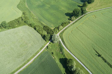 Germany, Bavaria, Aerial view of green countryside field and fork of empty road - RUEF02402