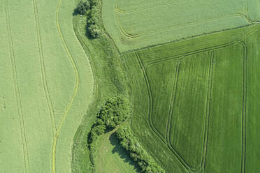 Germany, Bavaria, Aerial view of green countryside field - RUEF02403