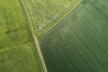 Germany, Bavaria, Aerial view of dirt road stretching between green countryside fields - RUEF02407