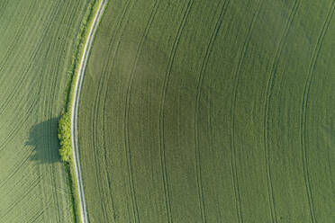 Deutschland, Bayern, Luftaufnahme einer unbefestigten Straße, die sich zwischen grünen Feldern erstreckt - RUEF02408