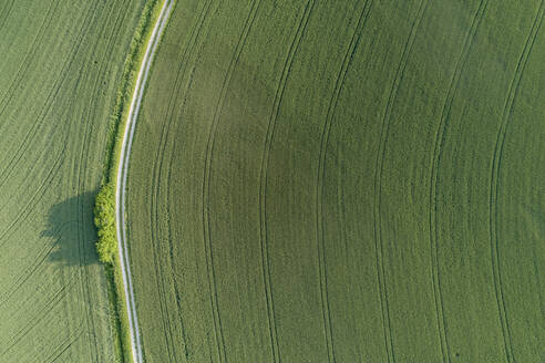 Deutschland, Bayern, Luftaufnahme einer unbefestigten Straße, die sich zwischen grünen Feldern erstreckt - RUEF02408