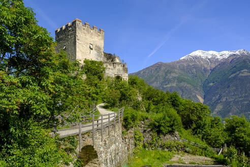 Italien, Südtirol, Morter, Schloss Obermontani umgeben von grünen Bäumen - LBF02813