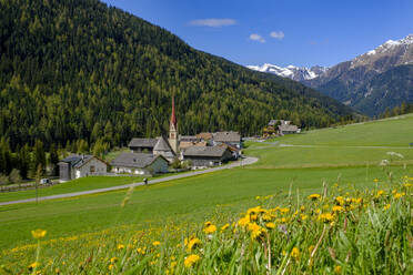 Italien, Südtirol, Pens, Frühlingswiese vor Bergdorf am Penser Joch - LBF02823