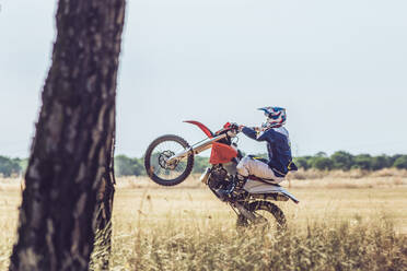 Motocross driver performing wheelie - MTBF00242