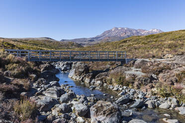 Neuseeland, Brücke über den Wairere Stream mit dem Vulkan Ruapehu im Hintergrund - FOF11306