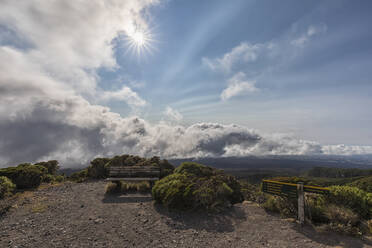 Neuseeland, Die Sonne scheint über eine leere Bank im Egmont National Park - FOF11308