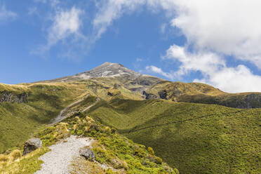 New Zealand, Scenic view of Mount Taranaki volcano and surrounding forest in spring - FOF11314