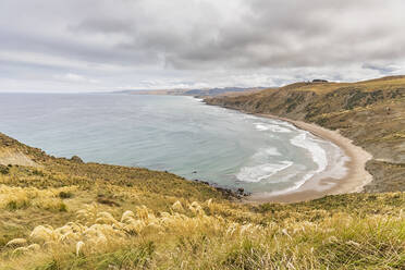 New Zealand, Wellington Region, Castlepoint, Small coastal beach of Pacific Ocean - FOF11325