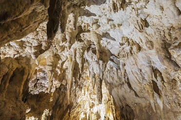 New Zealand, Oceania, North Island, Waitomo Caves, Ruakuri Cave, Stalactites and limestone formations in cave - FOF11335