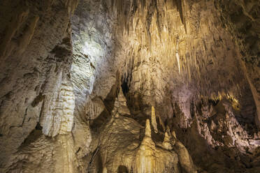 Neuseeland, Ozeanien, Nordinsel, Waitomo Höhlen, Ruakuri Höhle, Stalaktiten und Kalksteinformationen in Höhle - FOF11338