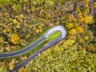 Italien, Trentino, Trento, Luftaufnahme der Kurve einer leeren Autobahn, die sich über den Herbstwald in den europäischen Alpen erstreckt - GIOF07887