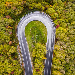 Italy, Trentino, Trento, Aerial view of curve of empty highway stretching across autumn forest in European Alps - GIOF07889