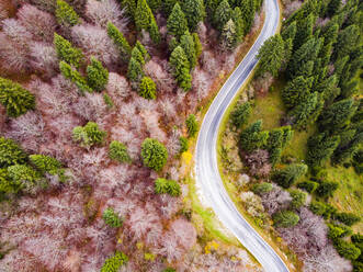 Italy, Trentino, Trento, Aerial view of empty highway in European alps during autumn - GIOF07894