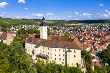 Deutschland, Baden-Württemberg, Odenwald, Gundelsheim, Luftbild der Burg Horneck - AMF07555