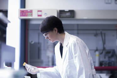 Female laboratory technician working in a laboratory - SGF02459