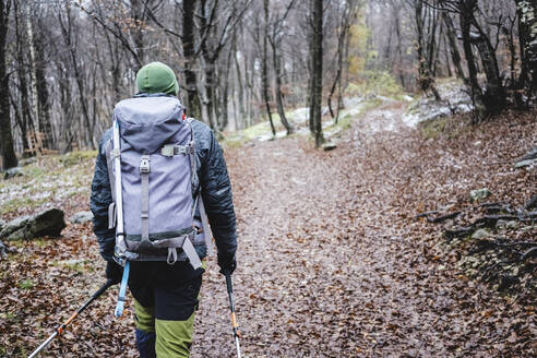 Mann beim Wandern im Herbstwald, Italienische Alpen, Como, Lombardei, Italien - MCVF00102