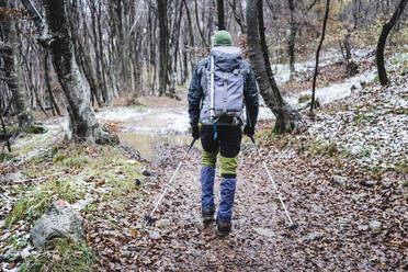 Mann beim Wandern im Herbstwald, Italienische Alpen, Como, Lombardei, Italien - MCVF00103