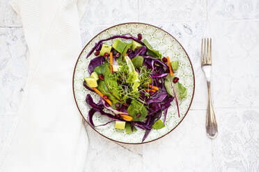 Salad with red cabbage, carrots, lettuce leaves, avocado, pomegranate seeds and cress - LVF08457