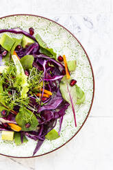 Salat mit Rotkohl, Karotten, Kopfsalatblättern, Avocado, Granatapfelkernen und Kresse - LVF08458
