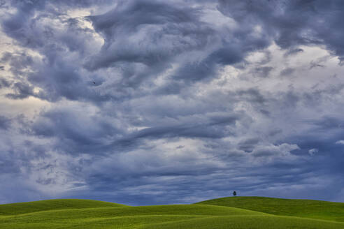 Italien, Toskana, Orcia-Tal, Gewitterwolken über Feldern im Frühling - LOMF00945