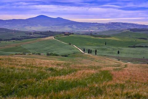 Italy, Tuscany, Orcia Valley, Pienza, Fields and hills at sunset stock photo