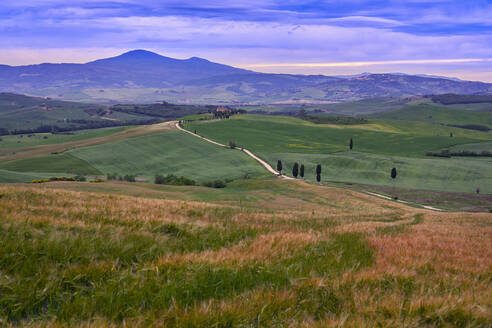 Italien, Toskana, Orcia-Tal, Pienza, Felder und Hügel bei Sonnenuntergang - LOMF00947