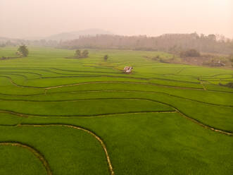 Aerial view of Luang Prabang paddy rice fields, Laos. - AAEF05784