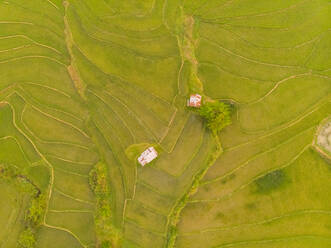 Aerial view of Luang Prabang paddy rice fields, Laos. - AAEF05786